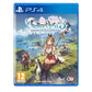 Atelier Ryza 3: Alchemist of the End & the Secret Key - SPECIAL COLLECTION BOX -  PlayStation®4